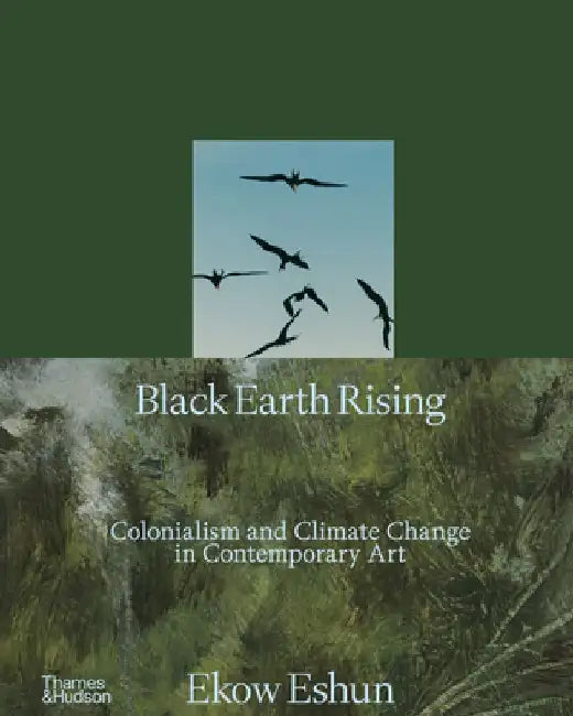Black Earth Rising by Ekow Eshun