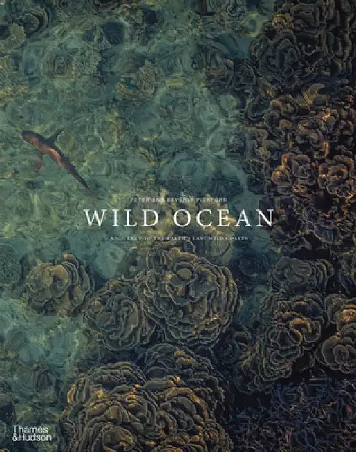 Wild Ocean: A Journey to the Earth's Last Wild Coasts by Pickford, Peter
