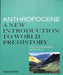 Anthropocene by Joy McCorriston