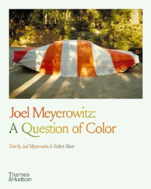 Joel Meyerowitz: A Question of Color by Joel Meyerowitz