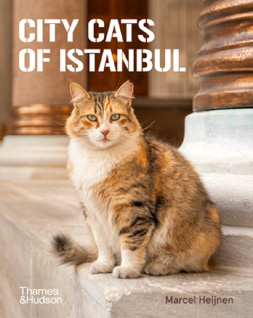 City Cats of Istanbul by Marcel Heijnen