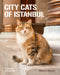 City Cats of Istanbul by Marcel Heijnen