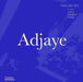 Adjaye: Works 2007?2015: Houses, Pavilions, Installations, Buildings by Peter Allison