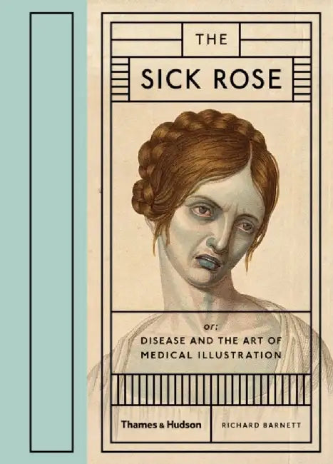 The Sick Rose by Richard Barnett