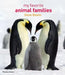 My Favorite Animal Families by Steve Bloom