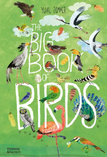 The Big Book of Birds by Barbara Taylor