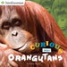 Curious about Orangutans by Gina Shaw