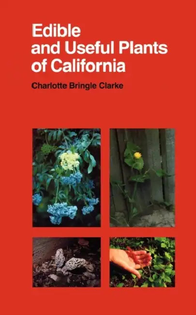 Edible and Useful Plants of California: Volume 41 by Charlotte Bringle Clarke