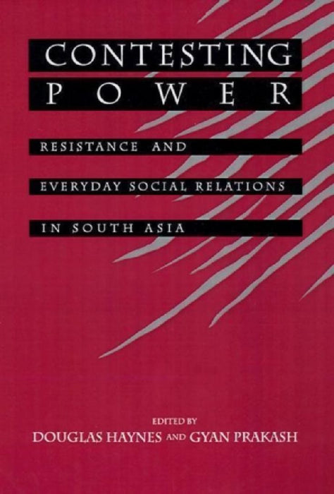 Contesting Power: Everyday Resistance in South Asian Society & History by Douglas E. Haynes
