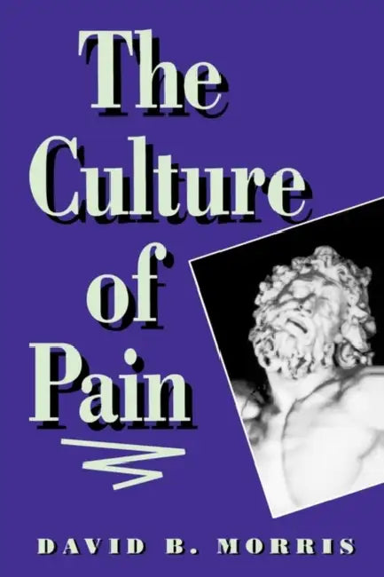 The Culture of Pain by David B. Morris