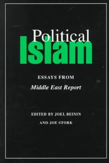 Political Islam: Essays from Middle East Report by Joel Beinin, Joe Stork