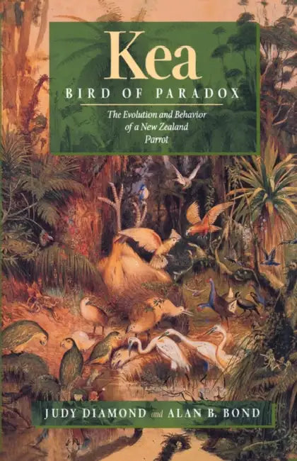 Kea, Bird of Paradox: The Evolution and Behavior of a New Zealand Parrot by Judy Diamond, Alan B. Bond