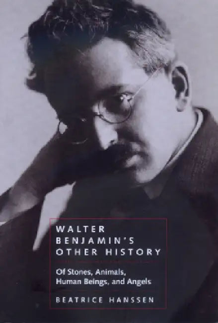 Walter Benjamin's Other History: Of Stones, Animals, Human Beings, and Angels Volume 15 by Beatrice Hanssen