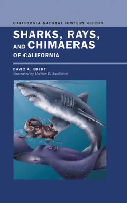 Sharks, Rays, and Chimaeras of California: Volume 71 by David Ebert, Mathew D. Squillante