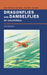 Dragonflies and Damselflies of California: Volume 72 by Timothy D. Manolis