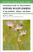 Introduction to California Spring Wildflowers of the Foothills, Valleys, and Coast: Volume 75 by Philip A. Munz, Dianne Lake, Robert Ornduff