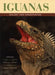 Iguanas: Biology and Conservation by Allison C. Alberts, Ronald L. Carter, William K. Hayes
