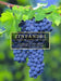 Zinfandel: A History of a Grape and Its Wine by Charles L. Sullivan, Paul Draper