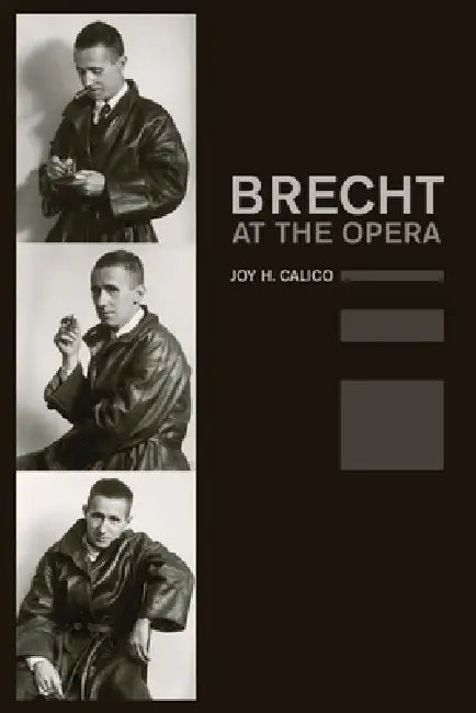 Brecht at the Opera: Volume 9 by Joy H. Calico