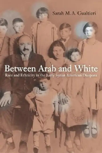Between Arab and White: Race and Ethnicity in the Early Syrian American Diaspora Volume 26 by Sarah Gualtieri