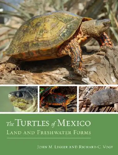 The Turtles of Mexico: Land and Freshwater Forms by John Legler, Richard C. Vogt