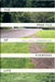 The Practice of Everyday Life by Michel De Certeau
