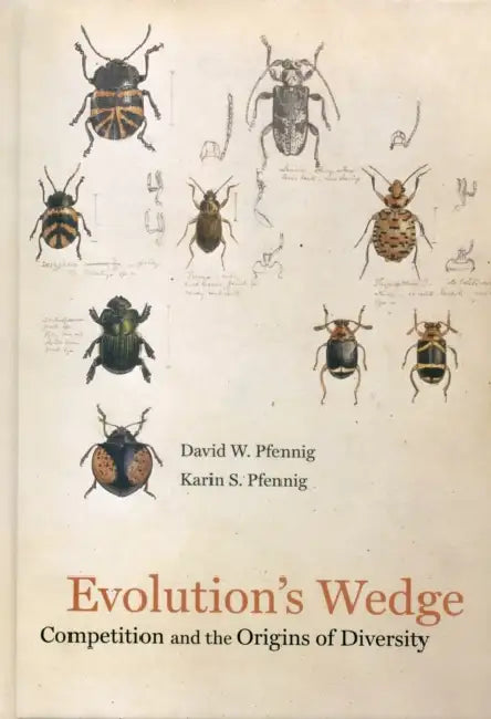 Evolution's Wedge: Competition and the Origins of Diversity Volume 12 by David Pfennig, Karin Pfennig