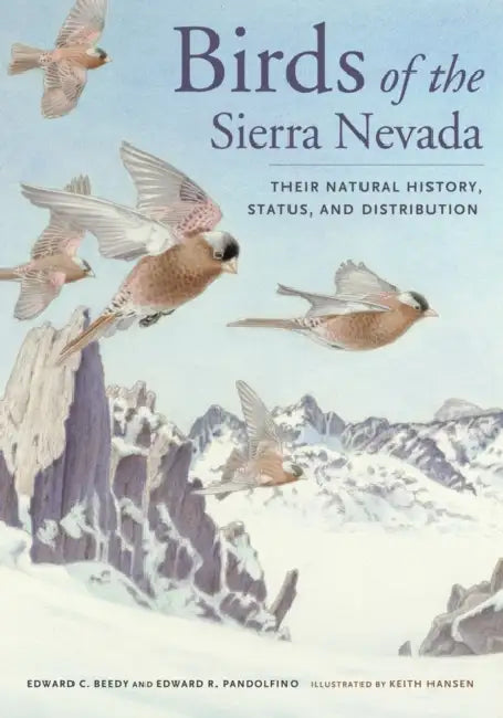 Birds of the Sierra Nevada: Their Natural History, Status, and Distribution by Ted Beedy, Ed Pandolfino, Keith Hansen