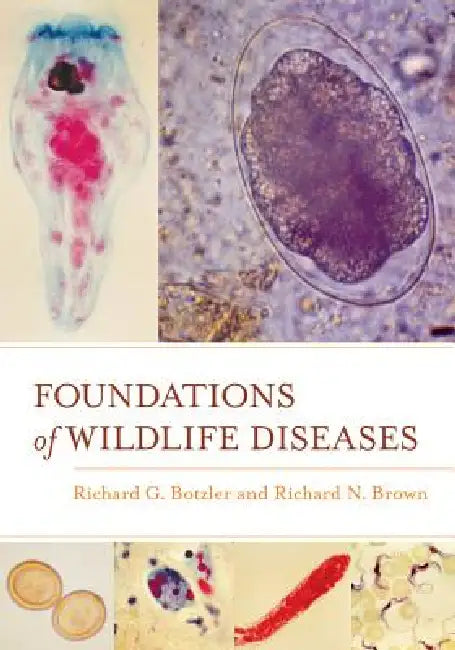 Foundations of Wildlife Diseases by Richard G. Botzler, Richard N. Brown