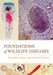 Foundations of Wildlife Diseases by Richard G. Botzler, Richard N. Brown