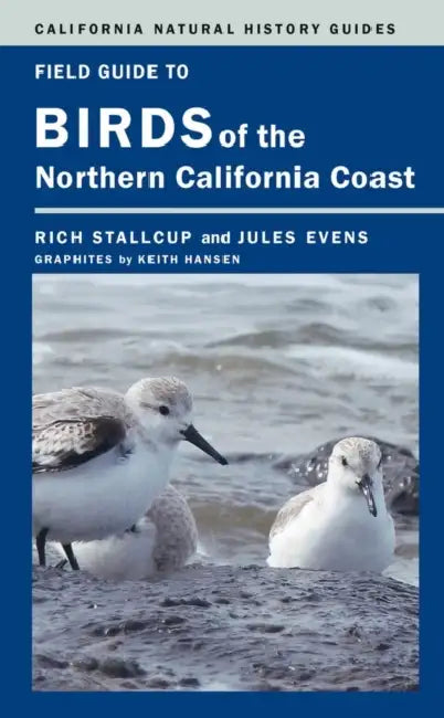 Field Guide to Birds of the Northern California Coast: Volume 109 by Rich Stallcup, Jules Evens, Keith Hansen