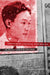 Vietnamese Colonial Republican: The Political Vision of Vu Trong Phung by Peter Zinoman