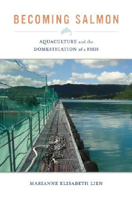 Becoming Salmon: Aquaculture and the Domestication of a Fish by Marianne Elisabeth Lien