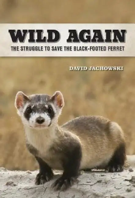 Wild Again: The Struggle to Save the Black-Footed Ferret by David S. Jachowski