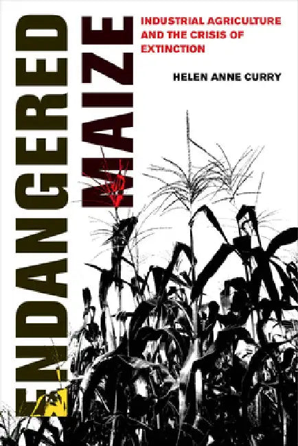 Endangered Maize: Industrial Agriculture and the Crisis of Extinction by Helen Anne Curry
