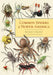 Common Spiders of North America by Richard A. Bradley