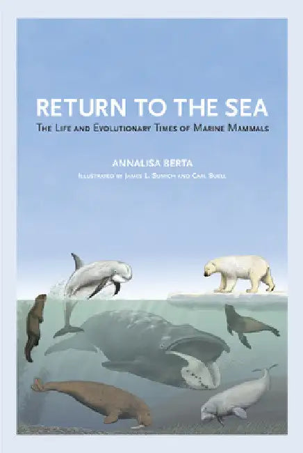 Return to the Sea: The Life and Evolutionary Times of Marine Mammals by Annalisa Berta