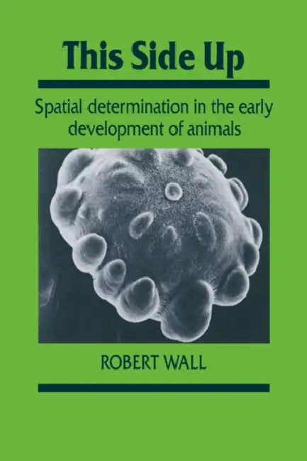 This Side Up: Spatial Determination in the Early Development of Animals by Robert Wall, Wall Robert, Jonathan B. L. Bard