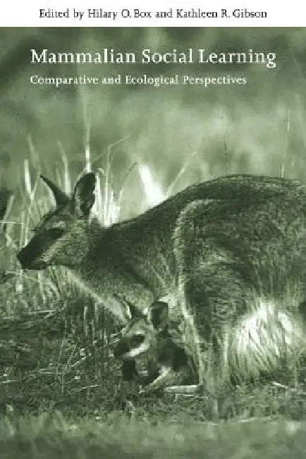 Mammalian Social Learning: Comparative and Ecological Perspectives by Hilary O. Box, Kathleen R. Gibson, Georgina M. Mace