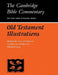 Old Testament Illustrations by Clifford M. Jones, P. R. Ackroyd, A. R. C. Leaney
