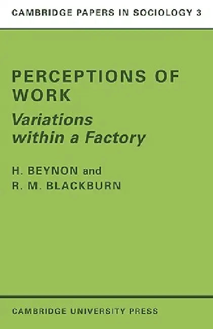 Perceptions of Work: Variations Within a Factory by Beynon, Huw Beynon, H. Beynon