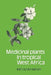 Medicinal Plants in Tropical West Africa by Bep Oliver-Bever