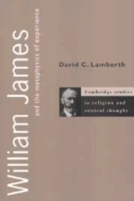 William James and the Metaphysics of Experience by David C. Lamberth