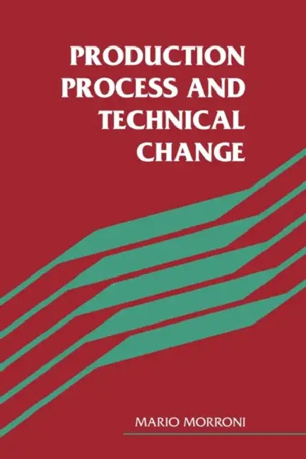 Production Process and Technical Change by Mario Morroni, Morroni Mario