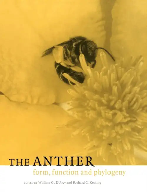 The Anther: Form, Function and Phylogeny by William G. D'Arcy, Richard C. Keating