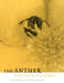 The Anther: Form, Function and Phylogeny by William G. D'Arcy, Richard C. Keating