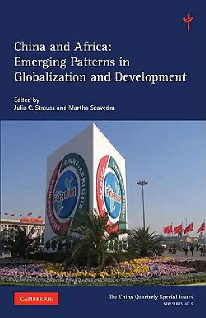 China and Africa by Julia C. Strauss, Martha Saavedra