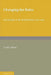 Changing the Rules: Psychology in the Netherlands 1900 1985 by Trudy Dehue