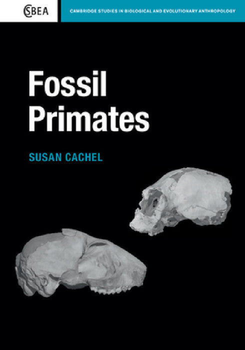 Fossil Primates by Susan Cachel