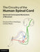 The Circuitry of the Human Spinal Cord by Emmanuel Pierrot-Deseilligny